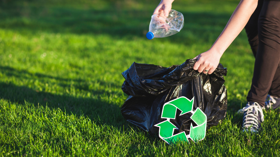 Eco-Friendly Disposal Practices