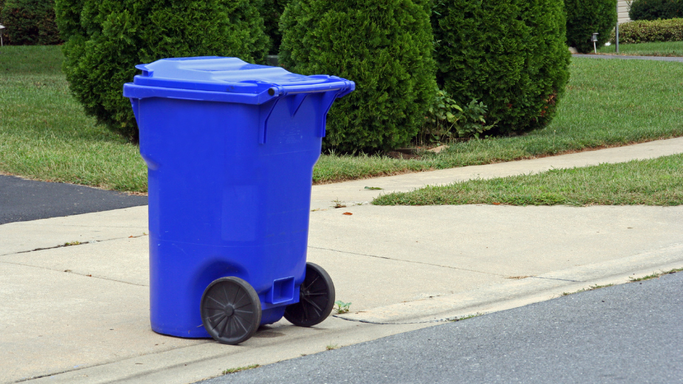 DIY vs Professional Junk Removal