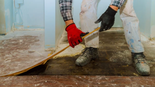 Light Demolition Services