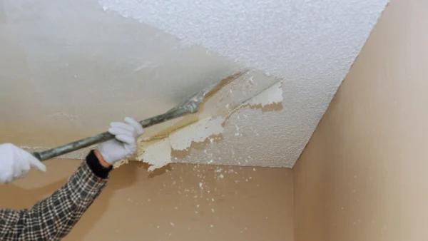 Light Demolition Services